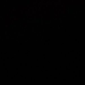 Meet your Posher, Joni